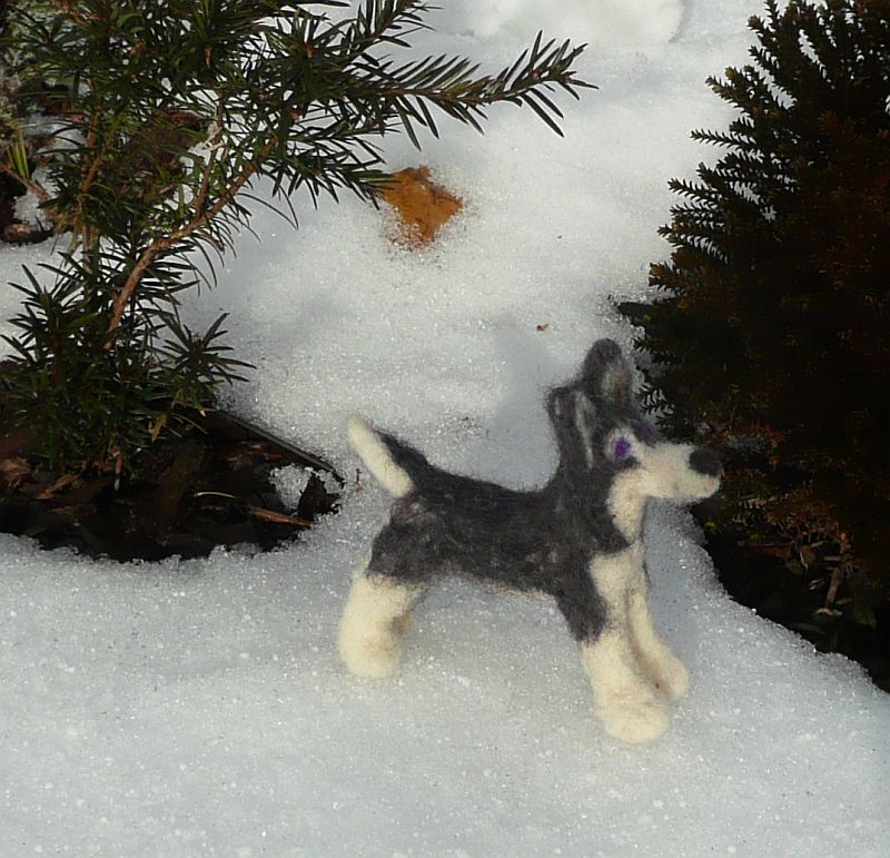 husky
