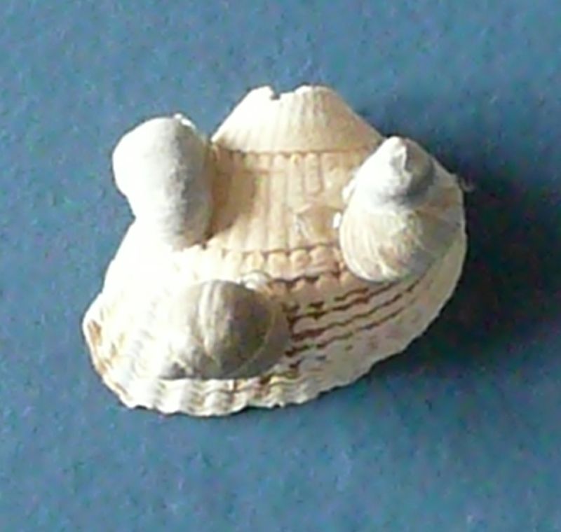 P1100810